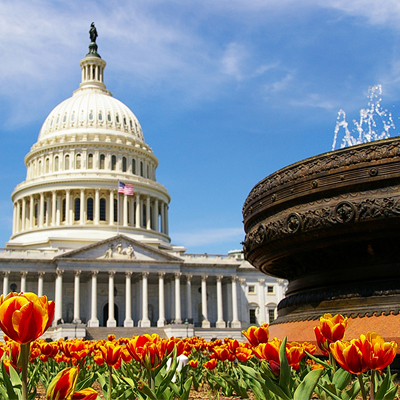 Read more about the article Ophthalmology at risk for significant cuts from 2021 E/M changes