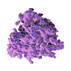 Read more about the article The non-surgical option for vitreoretinal diseases