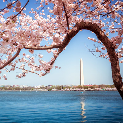 Read more about the article Tours in Washington, D.C.