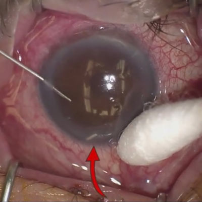 Read more about the article Insights on adopting new technologies