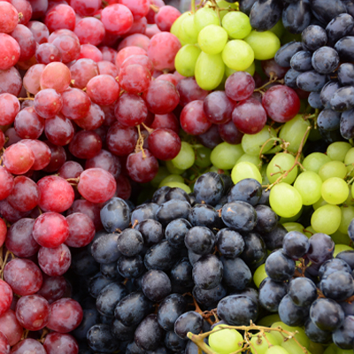 Read more about the article Study proposes using this fruit as a training tool