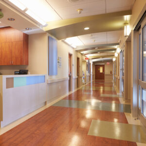 Read more about the article Facility development considerations