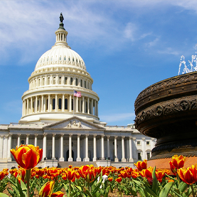 Read more about the article ASCRS, advocacy, and you: shaping healthcare policy
