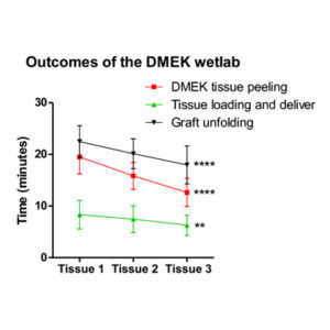 Read more about the article An objective look at DMEK wet labs