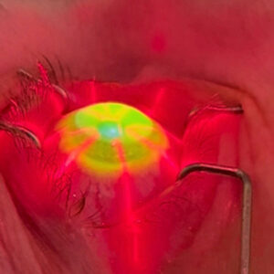 Read more about the article Crosslinking: then, now, and next up