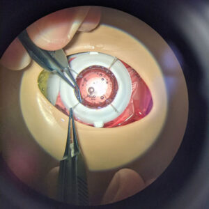 Read more about the article Digital tools for surgical training