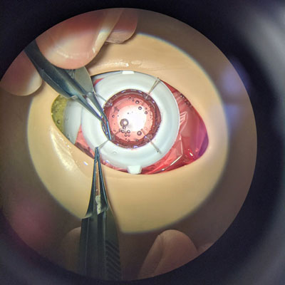 Read more about the article Digital tools for surgical training